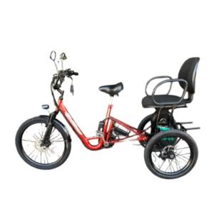 Triciclo Elétrico Duplo 1000W 48V 15Ah Seminovo