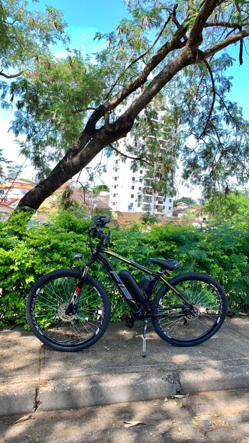 Bicicleta Elétrica 29 Wind Bikes 350 W 36 V Bateria Lithium