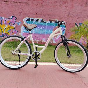 Bicicleta Modelo Schilder Aro 26 Tamanho 18 Sem Marcha