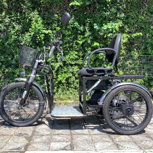 Triciclo Elétrico Modelo Pro 1500W 48V 15Ah Seminovo