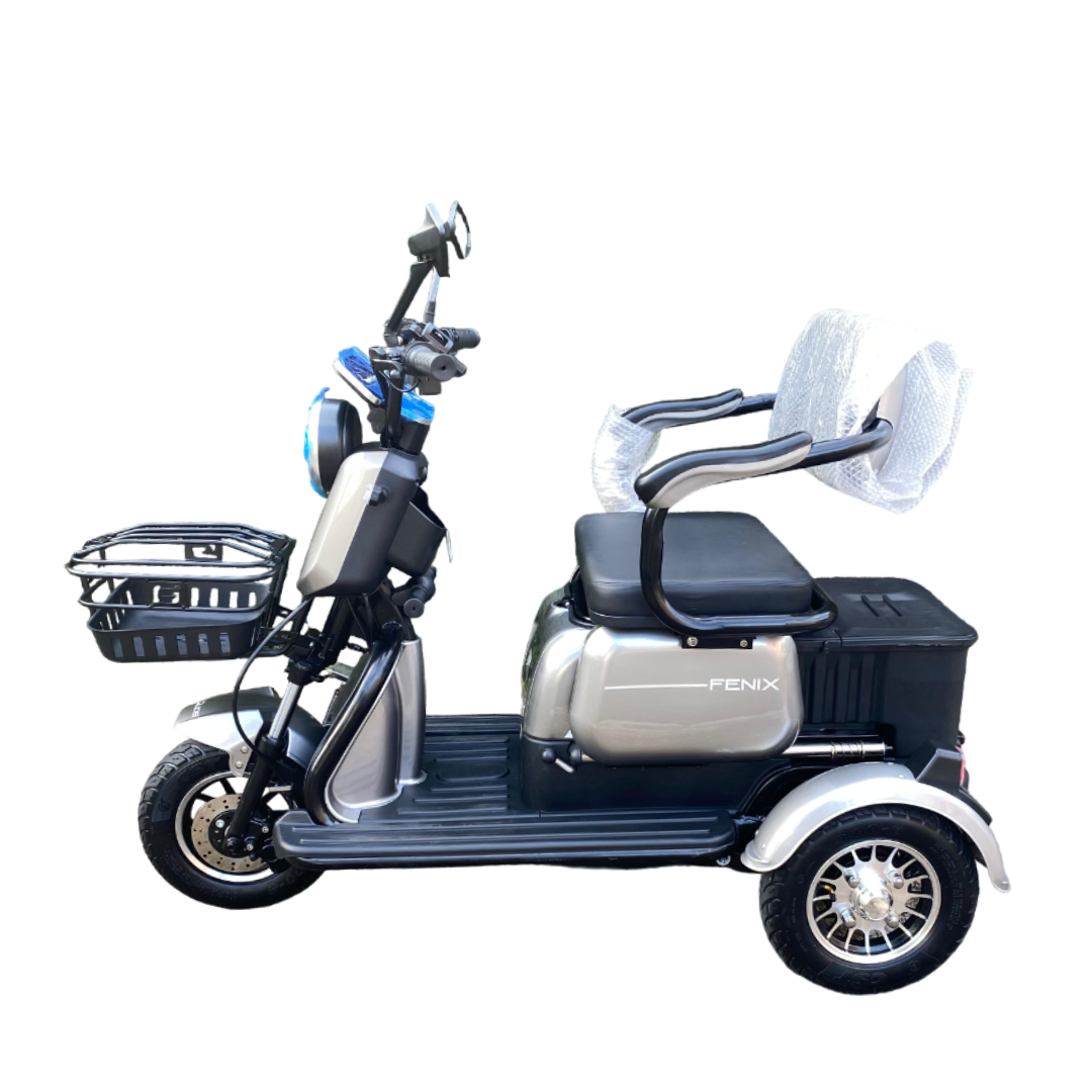Triciclo Elétrico Fênix 750W 48V 22Ah C/ Chumbo Cinza
