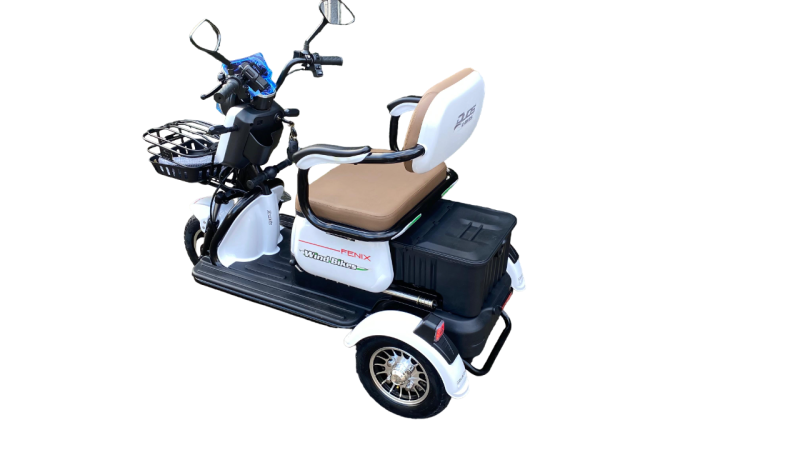 Triciclo Elétrico Fênix 750W 48V 20Ah - Image 3