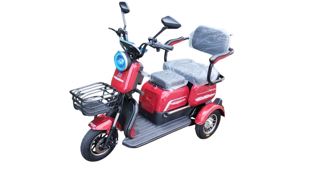 Triciclo Elétrico Fênix 750W 48V 22Ah C/ Chumbo Vermelho - Imagem 2
