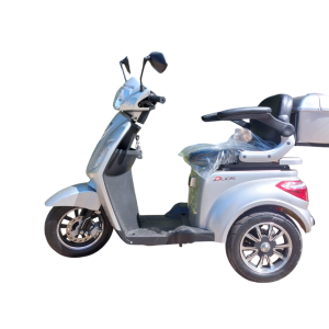 Triciclo Elétrico Modelo Eko10 1000W 48V Modelo 2025