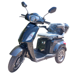 Triciclo Elétrico Modelo Eko10 1000W 48V Modelo 2025
