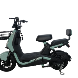 Bicicleta Elétrica Modelo Eko7 600w 48v 20ah