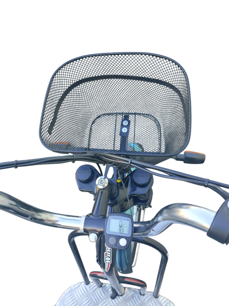 Triciclo Elétrico 700w 36v 30ah Wind Bikes - Imagem 7