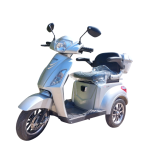 Triciclo Elétrico Modelo Eko10 1000w 48v Cinza