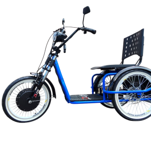 Triciclo Elétrico Fox Duos 800W 48V Azul