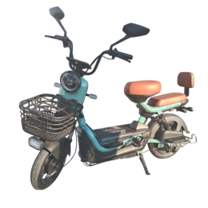Bicicleta Elétrica Eko5 500W 48V 15Ah C/ Detalhes