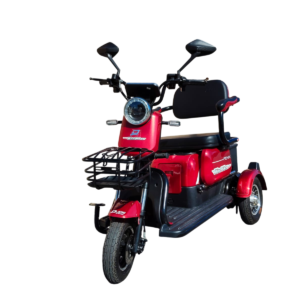 Triciclo Elétrico Fênix 750w 48v 22ah C/ Detalhes
