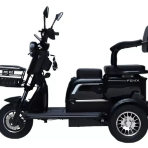 Triciclo Elétrico Fênix 750W 48V 24Ah C/ Bateria Lithium Preto