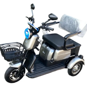 Triciclo Elétrico Fênix 750W 48V 24Ah C/ Bateria Lithium Cinza