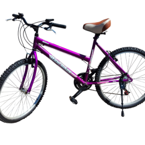 Bicicleta Convencional Aro 26 Violeta