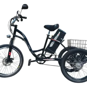 Triciclo Elétrico Ipanema 350w 36v 20ah Wind Bikes