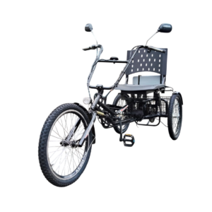 Triciclo Elétrico Eco Praiano 250W 36V 15ah Chumbo