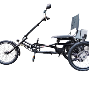 Triciclo Elétrico Eco Praiano 250W 36V 15ah Lithium