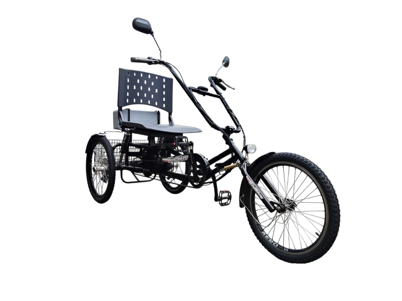 Triciclo Elétrico Eco Praiano 250W 36V 15ah Lithium - Imagem 2